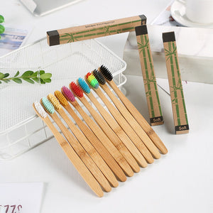 10 Pieces Colorful Natural Bamboo Toothbrush Set